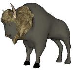 View Larger Image of FF_Model_ID9290_bison.jpg